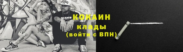 дживик Богородск