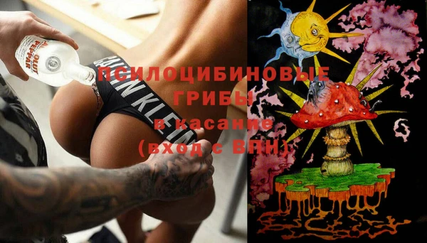 дживик Богородск