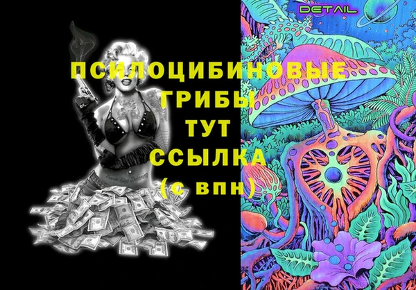 метадон Богданович