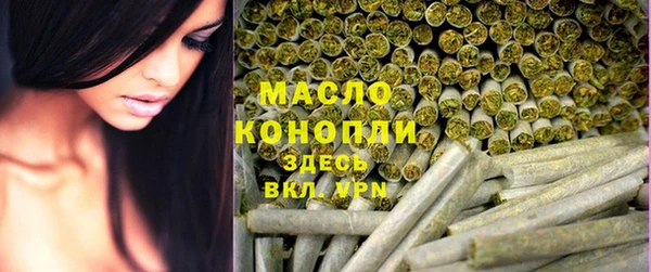 дживик Богородск