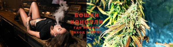 метадон Богданович